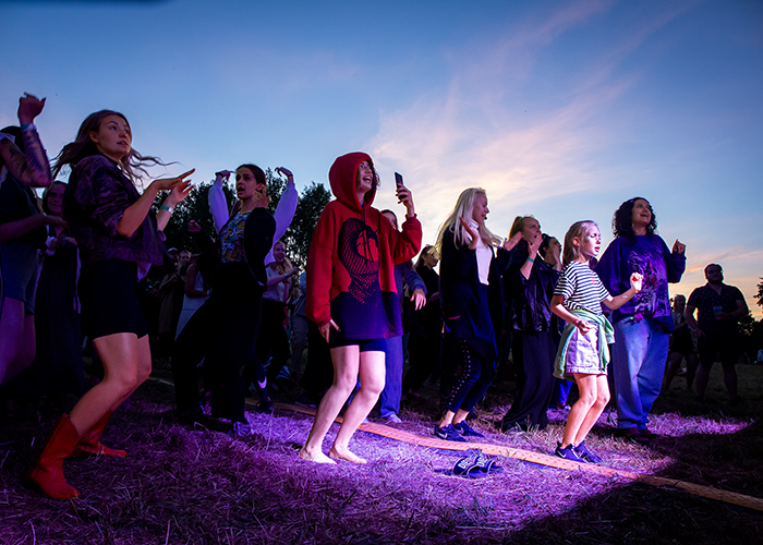 audience of a music festival