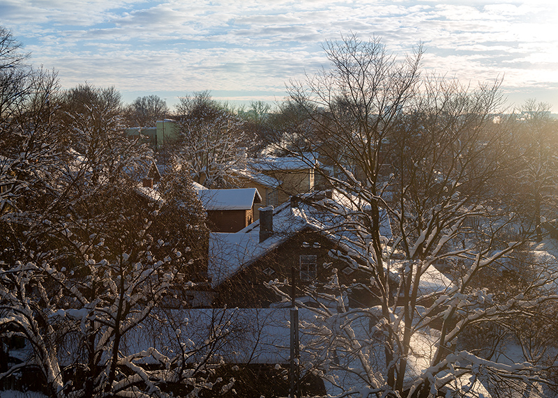 Wooden houses at TAllinn, Estonia during winter